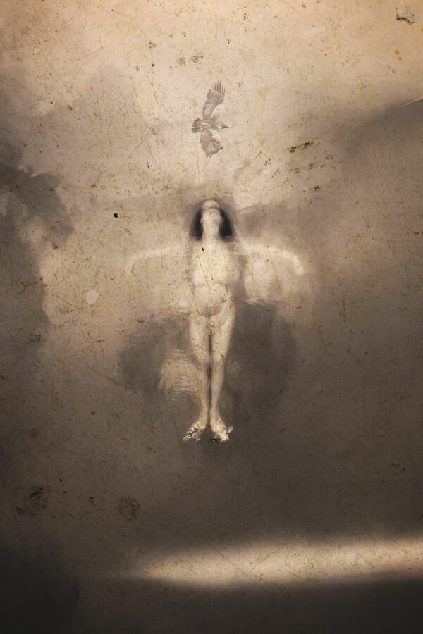 Et Rigida Alba Dominae - Ed. 5